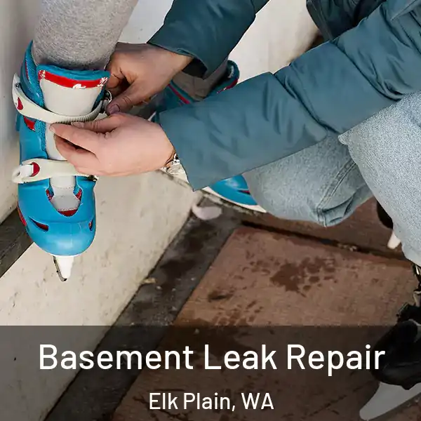  Basement Leak Repair Elk Plain, WA