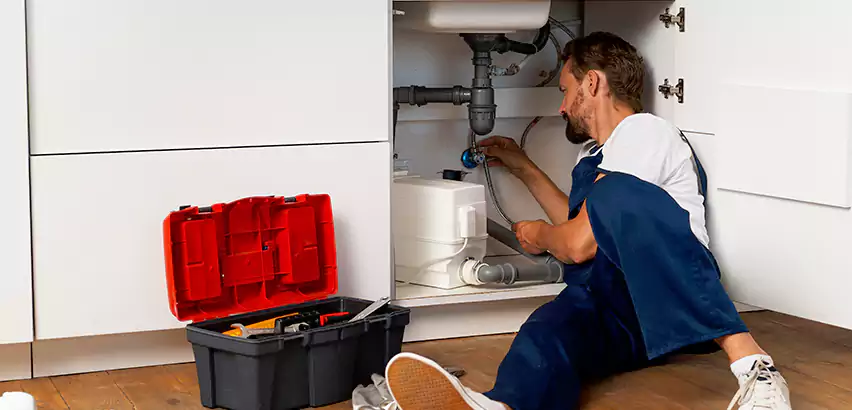 Reliable Garbage Disposal Replacement Services in Elk Plain, WA