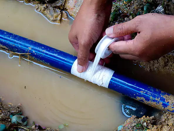  Why Choose Elk Plain Plumbing for Leak Detection in Elk Plain, WA?]