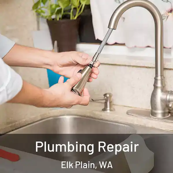  Plumbing Repair Elk Plain, WA
