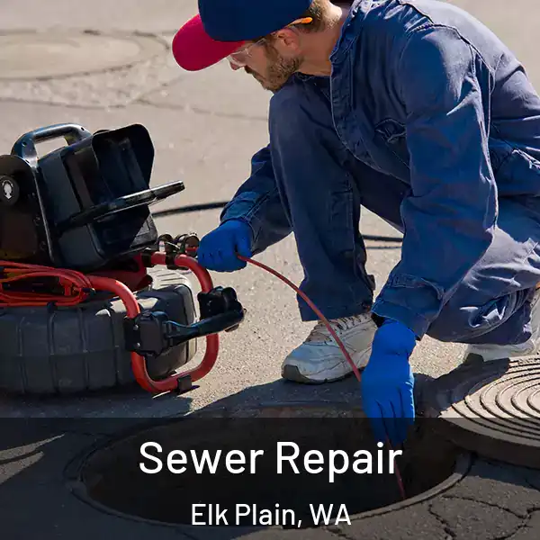  Sewer Repair Elk Plain, WA