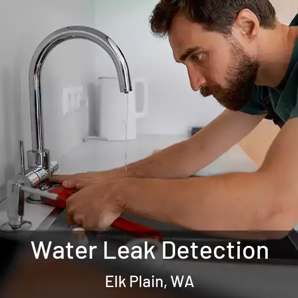  Water Leak Detection Elk Plain, WA